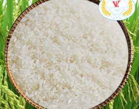Gạo Japonica